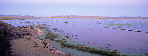 Lake Titicaca, near Puno, Peru, South America