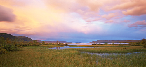 Typical scenery in Laponia, Lappland, Sweden, Scandinavia, Europe