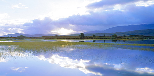 Loch Ba', Rannoch Moor, Highlands, Scotland, UK 