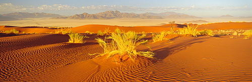 Sand dunes and mountains, Namib Rand Game Reserve, Namib Naukluft Park, Namibia