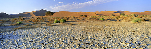 Panoramic view of sun-baked pan of cracked mud near Sossusvlei, Sesriem, Namib Naukluft Park, Namibia, Africa