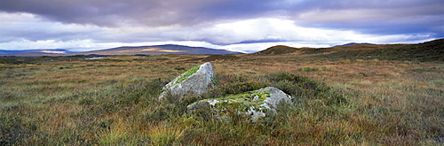 Rannoch Moor, Western Highlands, Scotland, United Kingdom, Europe