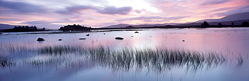 Loch Ba' at sunrise, Rannoch Moor, Western Highlands, Scotland, United Kingdom, Europe