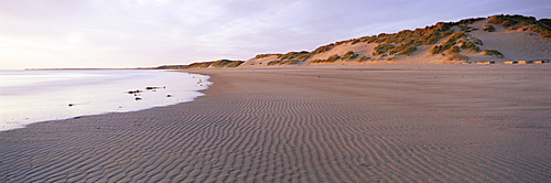 Beach at Alnmouth in dawn light with ripples and sand dunes, near Alnwick, Northumberland, England, United Kingdom, Europe