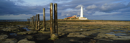 St. Mary's Lighthouse and St. Mary's Island in evening light, near Whitley Bay, Tyne and Wear, England, United Kingdom, Europe