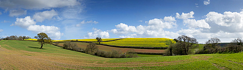 Devon panoramic landscape Dart valley Totnes