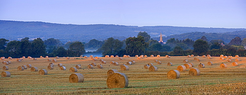 Early morning light and mist on a field of straw bales Brockham, Surrey, England, United Kingdom, Europe