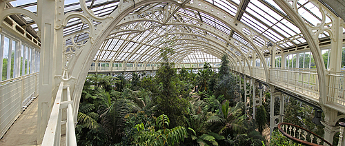 Palm House, Kew Gardens