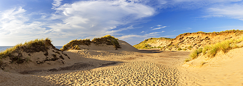 Sand dunes at Red Cliffs (Rotes Kliff), Kampen, Sylt, Schleswig Holstein, Germany, Europe