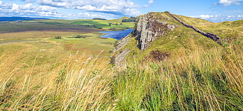 Sycamore Gap, Hadrian's Wall, UNESCO World Heritage Site, Henshaw, Hexham, Northumberland, England, United Kingdom, Europe