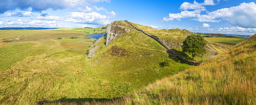 Sycamore Gap, Hadrian's Wall, UNESCO World Heritage Site, Henshaw, Hexham, Northumberland, England, United Kingdom, Europe