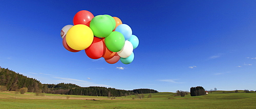 Many colourful balloons in a green landscape, Allgaeu, Germany, Europe