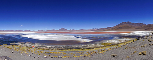 Play of colours of the Laguna Colorada, Reserva Nacional de Fauna Andina Eduardo Abaroa, Altiplano, Sur Lipez, Bolivia, South America