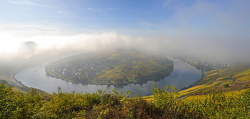 Moselschleife, Kröv, morning light, Rhineland-Palatinate, Germany, Europe