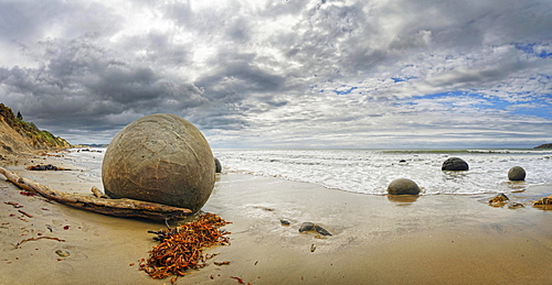 Moeraki Boulders, spherical rocks on Koekohe Beach, Otago, South Island, New Zealand, Oceania