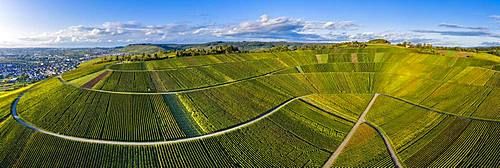 Drone shot, vineyards at Nonnenberg, Remstal near Schnait, Baden-Wuerttemberg, Germany, Europe