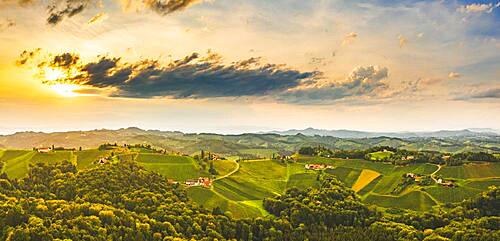 Aerial view, Panorama of Vineyards in the evening light, South Styria, Austria, Europe