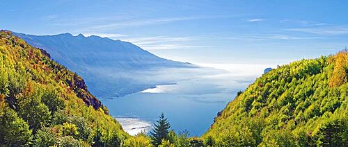 Mountain forest on the western shore of Lake Garda with the southern Monte Baldo mountain range, Limone Sul Garda, Brescia, Lake Garda West, Lombardy, Italy, Europe