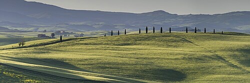 Landscape at sunrise around Pienza, Val d'Orcia, Orcia Valley, UNESCO World Heritage Site, Province of Siena, Tuscany, Italy