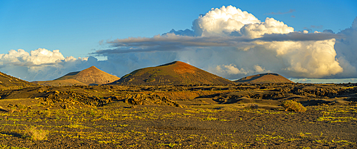 View of volcanic landscape in Timanfaya National Park at sunset, Lanzarote, Las Palmas, Canary Islands, Spain, Atlantic, Europe