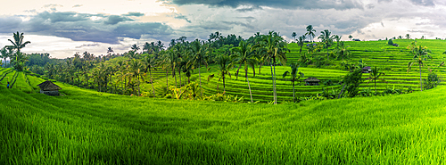 View of Sidemen Rice Terrace, Sidemen, Kabupaten Karangasem, Bali, Indonesia, South East Asia, Asia