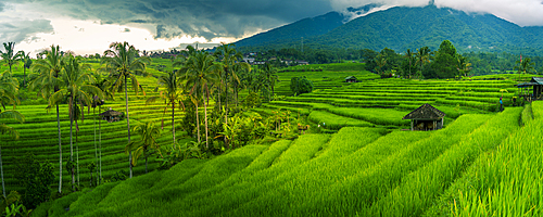 View of Sidemen Rice Terrace, Sidemen, Kabupaten Karangasem, Bali, Indonesia, South East Asia, Asia