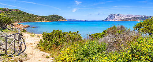 View of Capo Coda Cavallo beach and Isola di Tavolara in background, Sardinia, Italy, Mediterranean, Europe