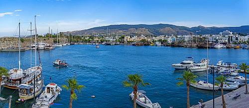 View of boats in Kos Harbour in Kos Town from elevated position, Kos, Dodecanese, Greek Islands, Greece, Europe