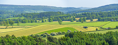 View of farmland near Chatsworth House in spring, Derbyshire Dales, Derbyshire, England, United Kingdom, Europe