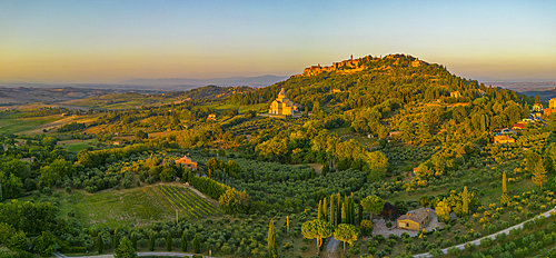 Elevated view of vineyards, olive groves and Montepulciano at sunset, Montepulciano, Tuscany, Italy, Europe