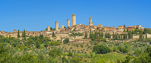 View of vineyards and San Gimignano, San Gimignano, Province of Siena, Tuscany, Italy, Europe