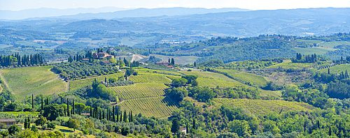 View of vineyards and landscape near San Gimignano, San Gimignano, Province of Siena, Tuscany, Italy, Europe