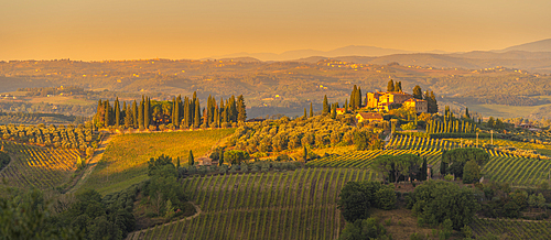 View of vineyards and landscape near San Gimignano at sunset, San Gimignano, Province of Siena, Tuscany, Italy, Europe