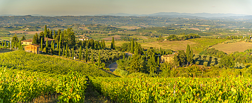 View of chaleau and vineyards near San Gimignano, San Gimignano, Province of Siena, Tuscany, Italy, Europe