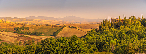 View of landscape in the Val d' Orcia near San Quirico d' Orcia, UNESCO World Heritage Site, Province of Siena, Tuscany, Italy, Europe