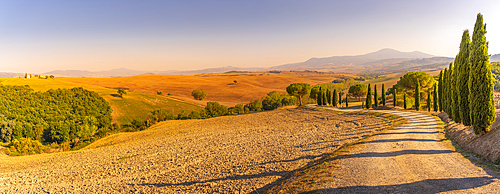 View of cypress trees and landscape in the Val d'Orcia near San Quirico d' Orcia, UNESCO World Heritage Site, province of Siena, Tuscany, Italy, Europe