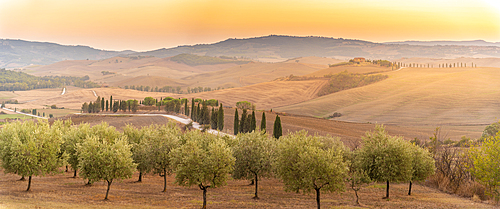 View of golden Tuscan landscape near Pienza, Pienza, Province of Siena, Tuscany, Italy, Europe