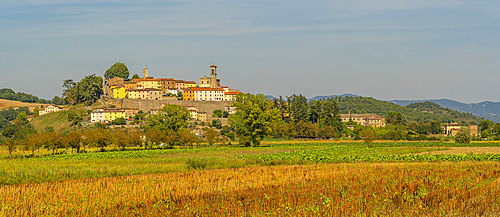 View of Monterchi and surrounding countryside, Province of Arezzo, Tuscany, Italy, Europe