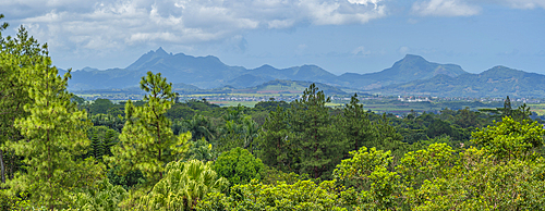 View of landscape from near the Bois Cheri Tea Estate, Savanne District, Mauritius, Indian Ocean, Africa