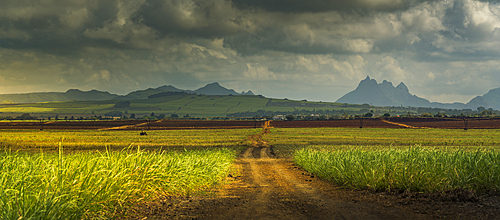 View of landscape and Long Mountain in the interior from near Petit Raffray, Mauritius, Indian Ocean, Africa