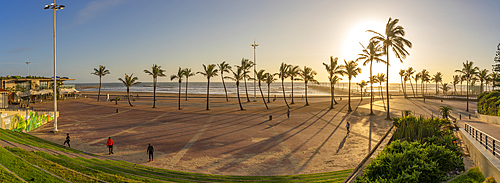 View of palm trees, promenade and Indian Ocean in background at sunrise, Durban, KwaZulu-Natal Province, South Africa, Africa