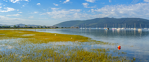 View of yachts on Knysna River with Featherbed Nature Reserve in background, Knysna, Garden Route, Western Cape, South Africa, Africa