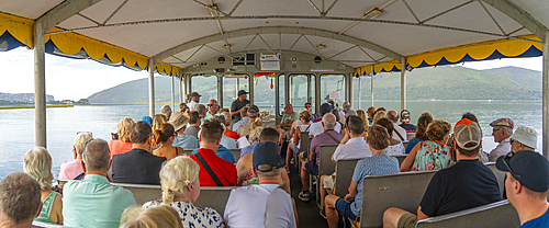 View onboard cruise boat on Knysna River with Featherbed Nature Reserve in background, Knysna, Garden Route, Western Cape, South Africa, Africa