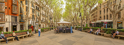 View of Paseo del Borne, Palma de Mallorca, Majorca, Balearic Islands, Spain, Mediterranean, Europe