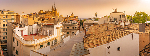 View of Catedral-Basílica de Santa María de Mallorca and rooftops, Palma de Mallorca, Majorca, Balearic Islands, Spain, Mediterranean, Europe