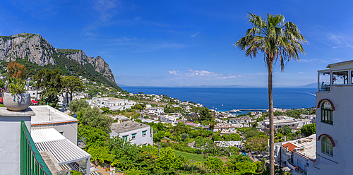 View of Marina Grande from Capri Town, Isle of Capri, Bay of Naples, Campania, Italy, Mediterranean, Europe