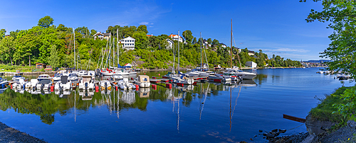 View of boats moored up at Langviksbukta, Bygdoynesveien, Oslo, Norway, Scandinavia, Europe