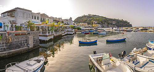 View of harbour boats and town of Lacco Ameno, Island of Ischia, Campania, Italy, Europe