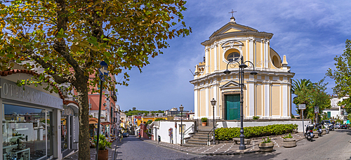 View of Santa Maria delle Grazie e delle Anime del Purgatorio in Porto d'Ischia (Port of Ischia), Island of Ischia, Campania, Italy, Europe