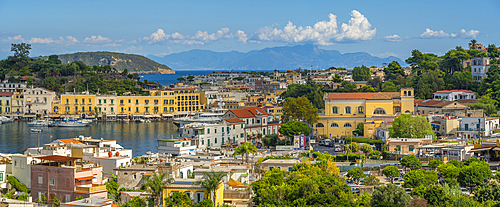 Elevated view of Chiesa di Santa Maria di Portosalvo and Porto d'Ischia (Port of Ischia), Island of Ischia, Campania, Italy, Europe